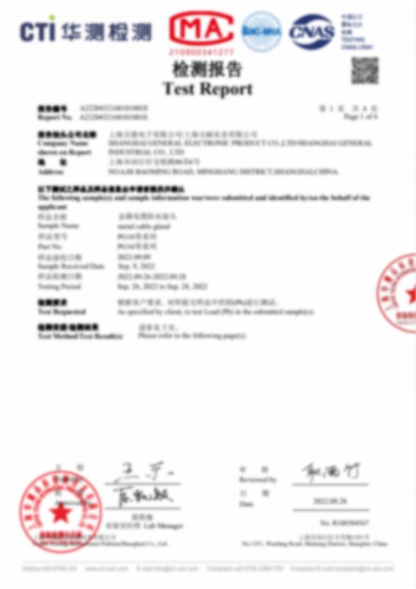 PG16铅（Pb）含量测试报告