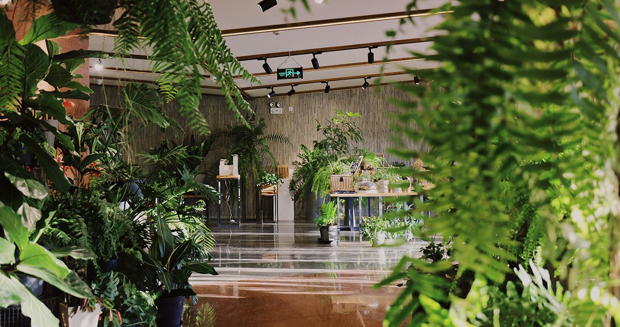 4002cc永利集团奥莱·滇池幼镇