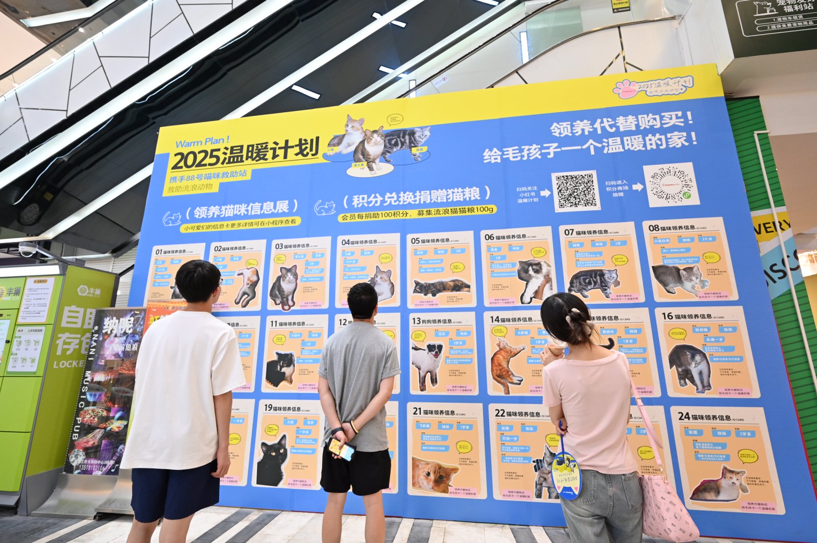 8885ea00dl17ae9964f0684e7bcfebf2 (1).jpg