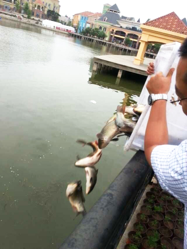 首页| 4002cc永利集团中国区官方网站