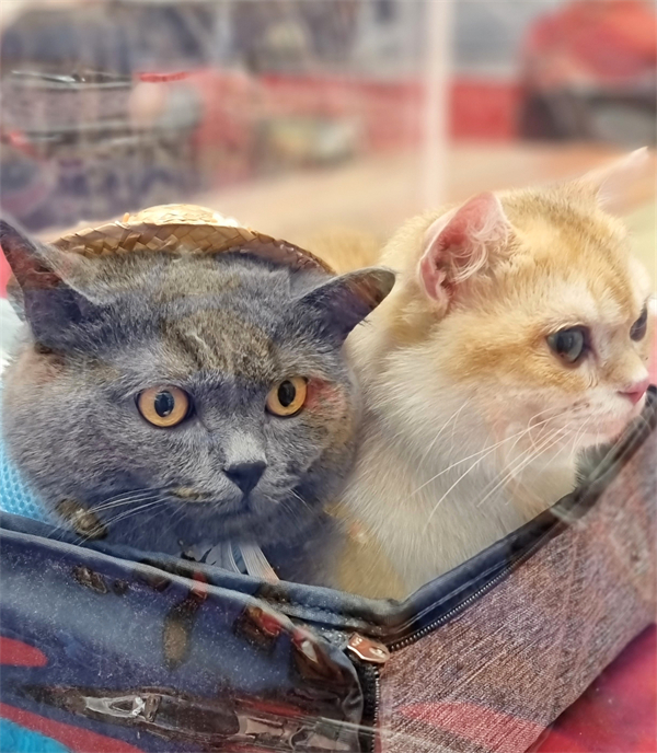 首页| 4002cc永利集团中国区官方网站