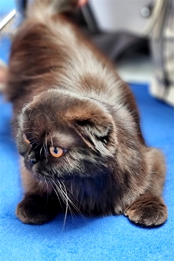 首页| 4002cc永利集团中国区官方网站