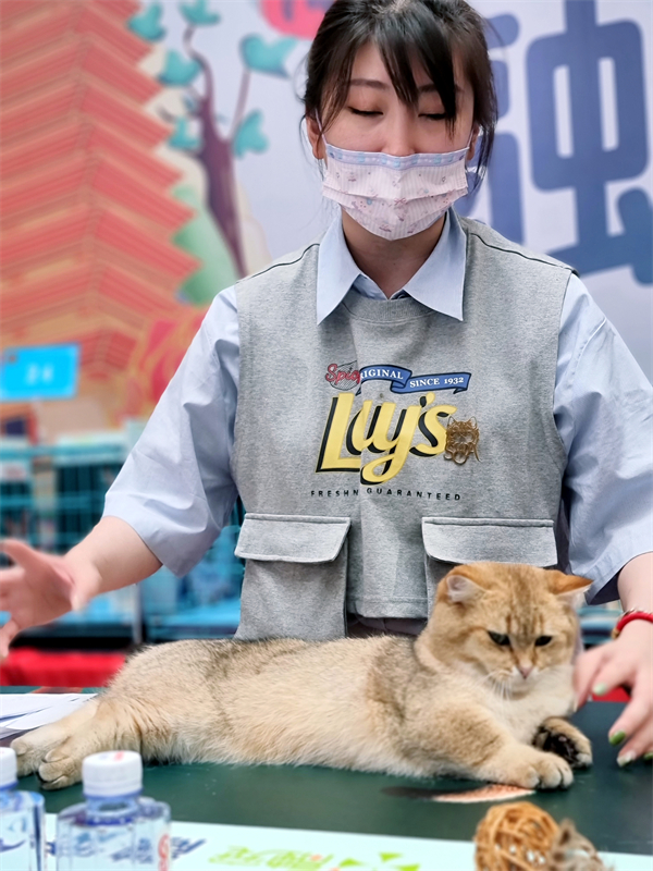 首页| 4002cc永利集团中国区官方网站