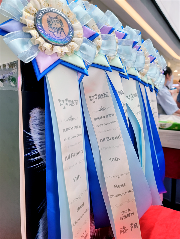 首页| 4002cc永利集团中国区官方网站