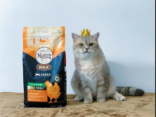 首页| 4002cc永利集团中国区官方网站