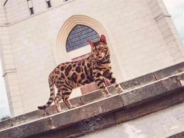 首页| 4002cc永利集团中国区官方网站