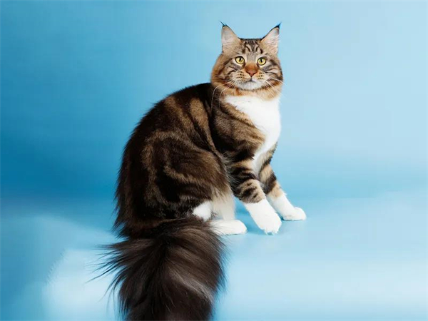 首页| 4002cc永利集团中国区官方网站