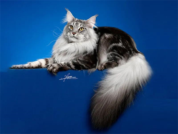 首页| 4002cc永利集团中国区官方网站