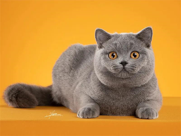 首页| 4002cc永利集团中国区官方网站