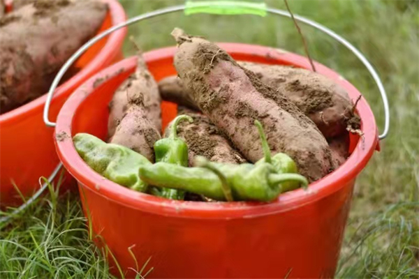 首页| 4002cc永利集团中国区官方网站