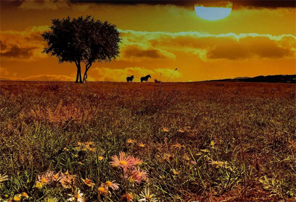 首页| 4002cc永利集团中国区官方网站