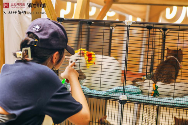 首页| 4002cc永利集团中国区官方网站