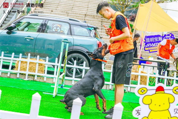 首页| 4002cc永利集团中国区官方网站