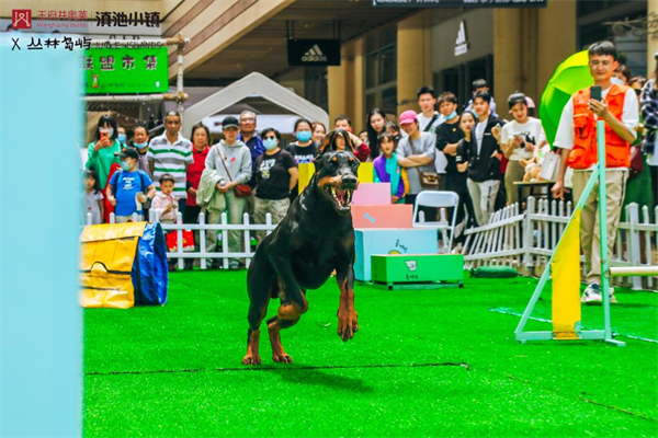 首页| 4002cc永利集团中国区官方网站