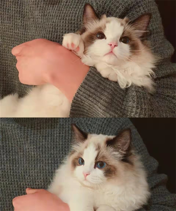 首页| 4002cc永利集团中国区官方网站